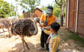 中秋小长假，郑州接待游客逾430万！实现旅游总收入逾20亿