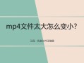 文件太大怎么弄（mp4文件太大怎么变小）