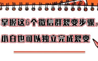 掌握微信群裂变这6个步骤，小白也可以独立完成裂变活动