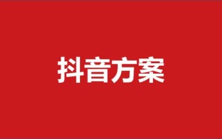 307抖音营销策划方案（34份）