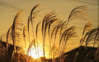 8个经营人脉的厚黑技巧！（行走社会必备）