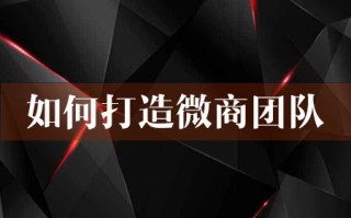 如何打造微商团队