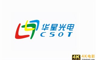 中国面板技术将在2-3年内实现全球领先？