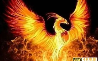 “凤凰涅槃，浴火重生”，“转型升级”势在必行，传统行业逃不掉