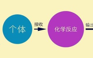 抖音运营从零起步，个人如何运营抖音账号？