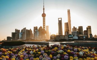 社群运营主流玩法有哪些，一起打造粉丝社区，私域流量