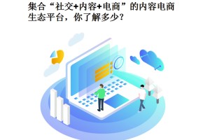 集合“社交+内容+电商”的内容电商生态平台你了解多少？