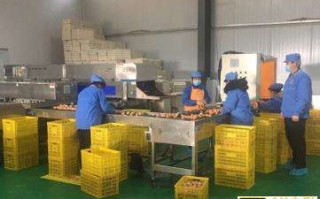 900亿的赛道崛起！盒马消费报告：可生食鸡蛋大都不是“生”吃