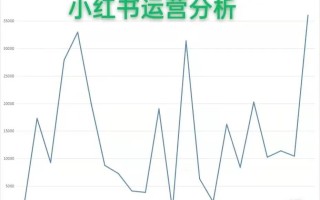 电商运营笔记：小红书运营分析