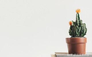 微-信-商城小程序开发？微-信-小程序购/物/商城有何用处？