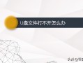 在电脑上怎么打开u盘（电脑打不开u盘的解决方法）