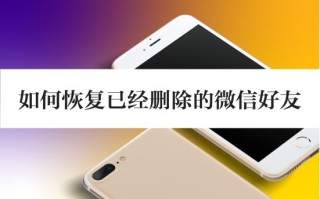 如何恢复已经删除的微信好友？只要掌握了方法恢复很简单！ ...