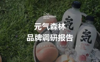 元气森林品牌营销方案