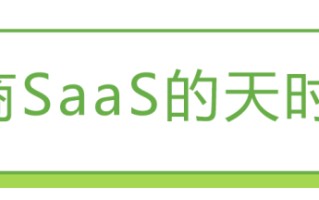 2022年中国跨境电商SaaS行业研究报告
