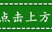 苹果笔记本u盘做系统教程-(苹果笔记本怎么做系统)