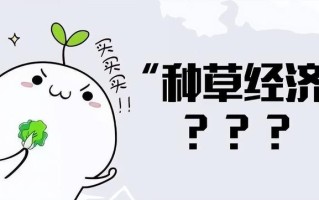 小红书种草达人类型有哪些？达人类型不同推广要点也不一样
