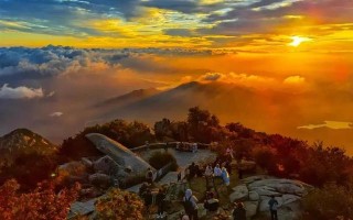 泰山众筹为什么深受操盘手的喜爱？