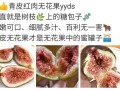 无花果文案：卖无花果水果的营销文案