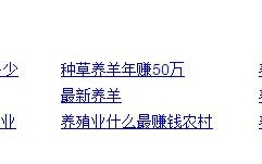 如何微调网站挖掘用户需求提升排名?