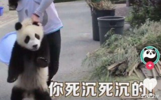 抖音文案用点小套路，帮你的网红之路加满buff（上）