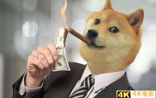 2021狗狗币大涨（马斯克正在与狗狗币合作）