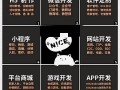 软件开发定制