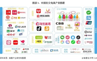 2020年中国社交电商行业发展现状分析 2020年中国社交电商行业发展现状分析