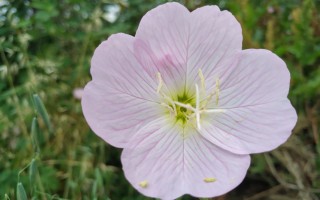 有什么副业可以推荐的？