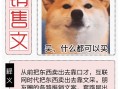 朋友圈营销文案太骚了，包你越看越上瘾还舍不得屏蔽