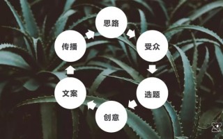 一个人怎么运营微信公众号？