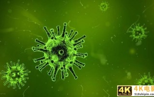 冷链条件下新冠病毒可存活3周 专家从冷链分离出新冠活病毒