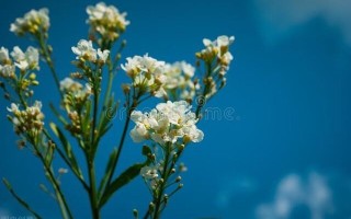 12条职场经验 12条职场经验
