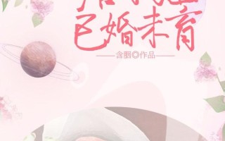 精选：唐小姐已婚未育by含胭，业务员vs程序员，普通人的婚恋故事