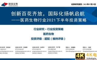 医药行业研究及下半年投资策略：创新、国际化、消费升级
