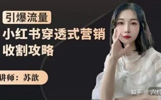 苏歆小红书穿透式营销收割攻略视频