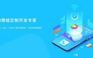 TST微商系统是什么模式？--微三云陈景尧