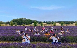 社交电商2.0：左手乡村振兴，右手社群迭代 | 品牌新事