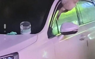 汽车周围站满了人，挤进去后看见里面有只二哈：这也太强了吧？