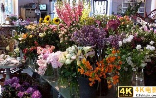 毫无名气的花店，做了一场砍价活动后，人气暴增