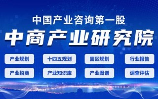 「新赛道专题」万亿社交电商新赛道来袭 社交电商发展路径前瞻