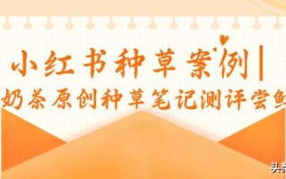 小红书种草案例｜xx奶茶原创种草笔记测评尝鲜