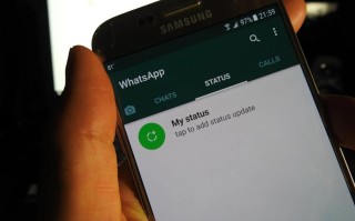 【WhatsApp营销】如何使用WhatsApp动态（Status）吸引 ...