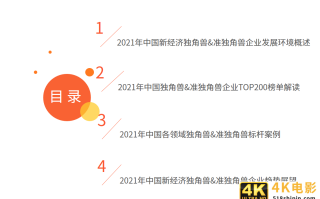 2021中国新经济独角兽&准独角兽200强报告：北上广企业占比约七成