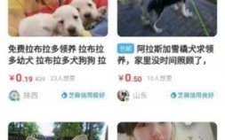 如何通过闲鱼引流微信成交精准锁定宠物粉! 如何通过闲鱼引流微信成交精准锁定宠物粉!