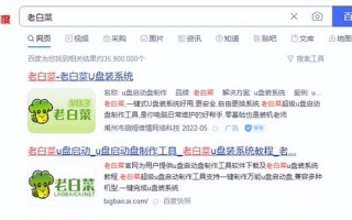 装u盘启动显示怎么回事-(装u盘启动显示怎么回事啊)