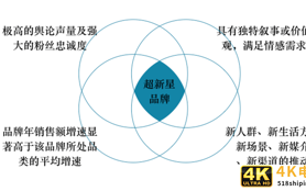 品类细分，需求挖掘：2021超新星品牌白皮书（推荐）
