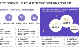 2022 上半年小程序白皮书新鲜出炉，更替率最高达到 19%