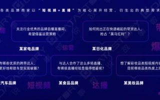《一站式抖音增长洞察解决方案》：双11品牌抖音营销&达人 ... ...