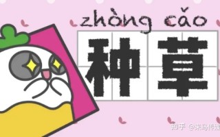 小红书种草营销模式有哪些?品牌方如何利用小红书种草