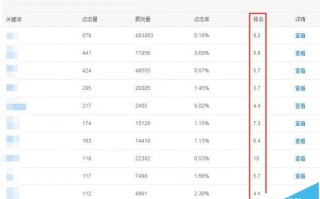 为什么搜索网站关键词排名为会出现小数点?